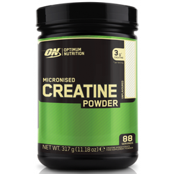 ON CREATINE POWDER 317G