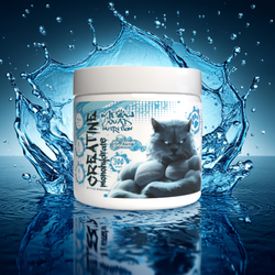 Meow Squad Nutrition Creatine Monohydrate Ice Candy 300g